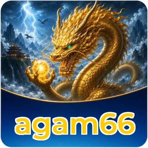 agam66 Verification